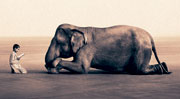 Gregory Colbert