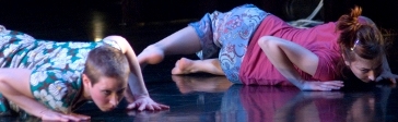 Tere O'Connor Dance Tere O'Connor Dance