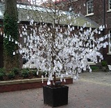 Wish Tree