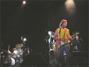 Jarabe de Palo