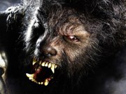 Wolfman con Benecio del Toro