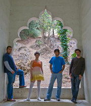 Salt Petal