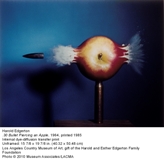 30BulletPiercingApple 30BulletPiercingApple