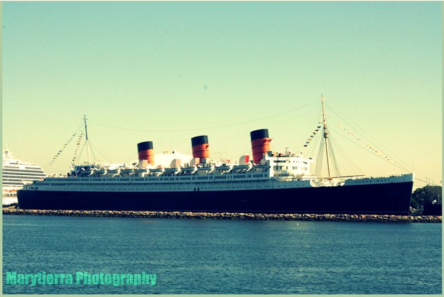 marina-party-boat-1