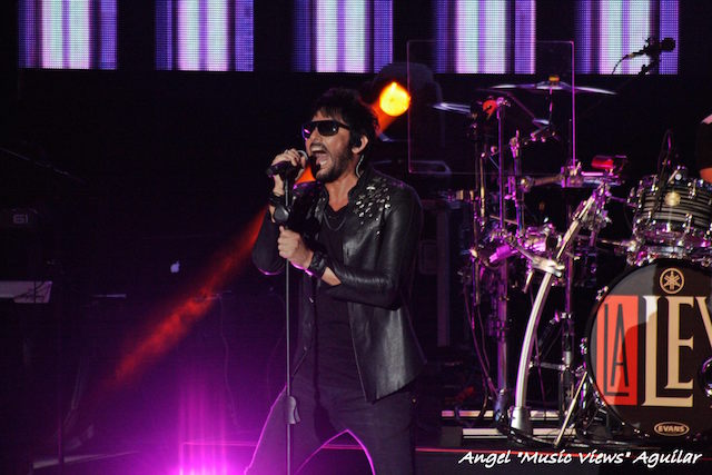 la-ley-retour-2014-5