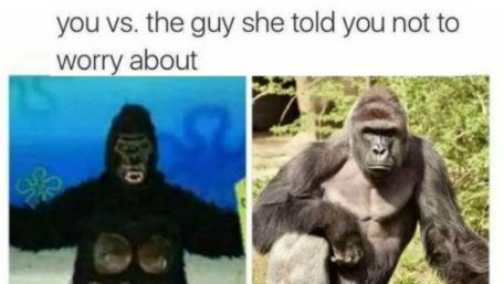 harambe-meme